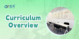 Curriculum Overview